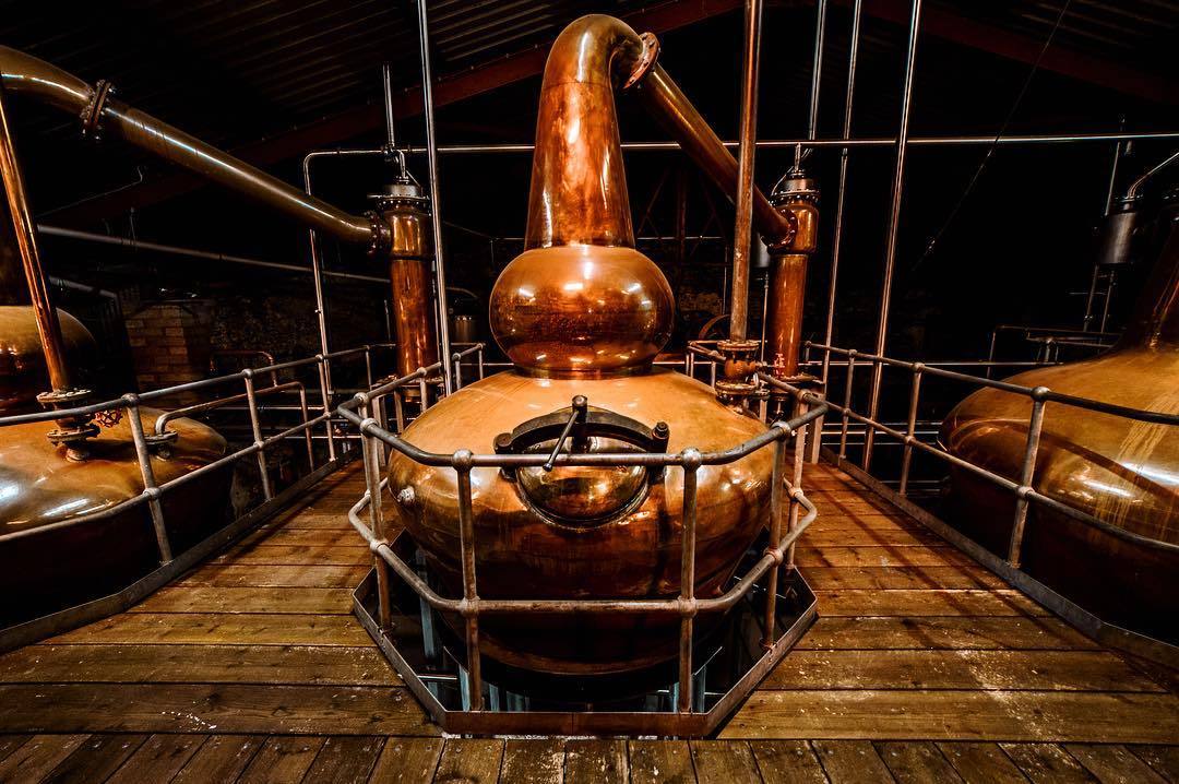 Dingle Distillery 愛爾蘭丁格爾釀酒廠