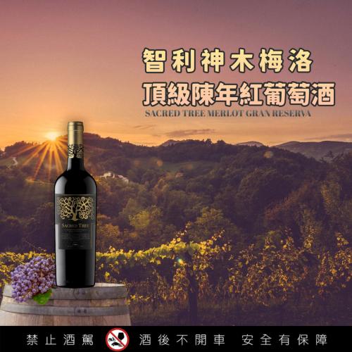 AS102 智利神木梅洛頂級陳年紅葡萄酒