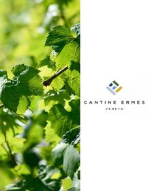 Cantine Ermes 義大利埃爾梅斯酒莊